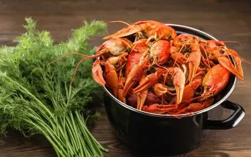 Варёные раки с укропом — «Раки КРД / Барракуда+»